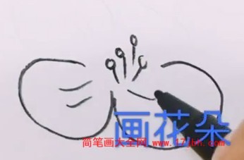 吸蜜蜂鸟简笔画