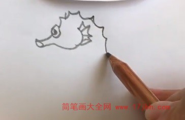 海马简笔画彩色