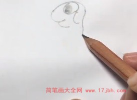 乌龟简笔画图片带颜色