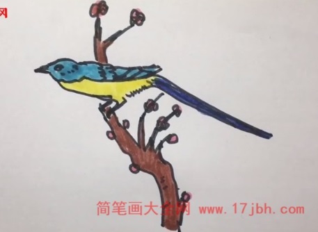 简笔画鸟图片大全