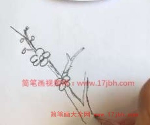 梅花树图片简笔画