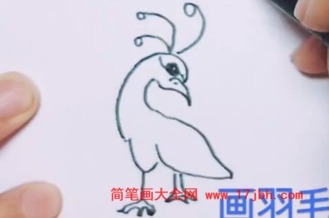 彩色凤凰简笔画图片