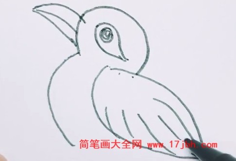 画眉鸟怎么画简笔画