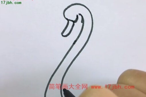 天鹅简笔画彩色