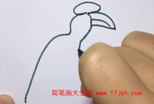 犀鸟图片简笔画