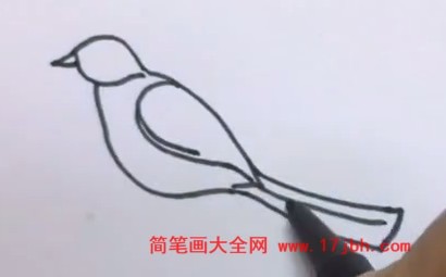 简笔画画小鸟