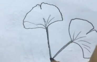 怎么画树叶的简笔画