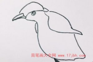 企鹅侧面简笔画