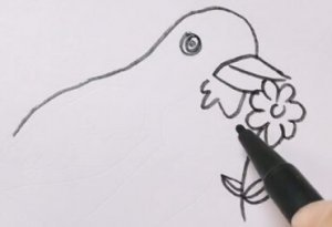 儿童简笔画动物小鸟