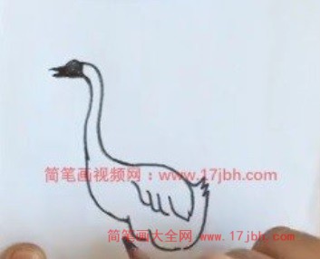 大白鹅的简笔画