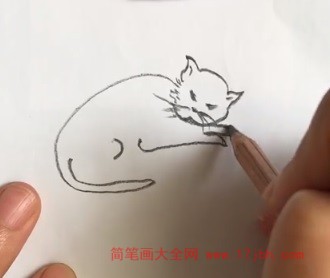 小猫睡觉图片简笔画