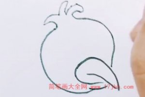 鸟怎么画简笔画图片