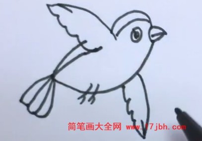 飞行的小鸟简笔画
