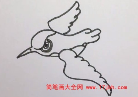 翠鸟简笔画彩色