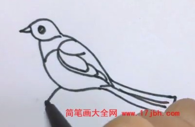 简笔画画小鸟