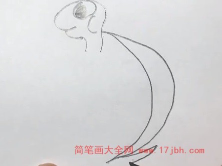 乌龟简笔画图片带颜色