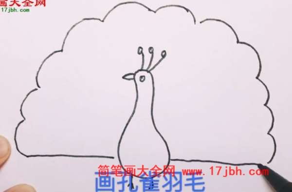 孔雀简笔画带颜色