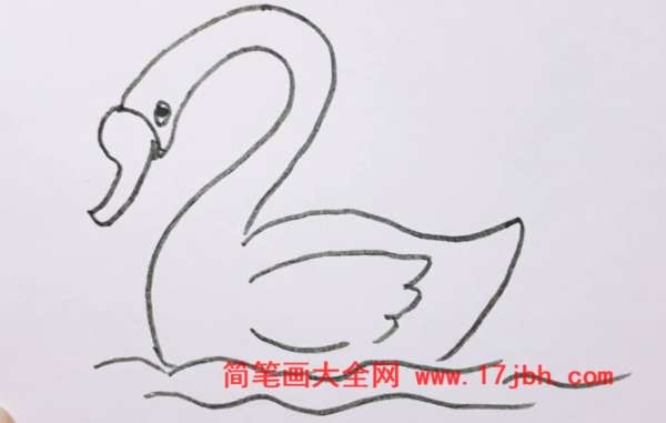 天鹅简笔画带颜色搭配