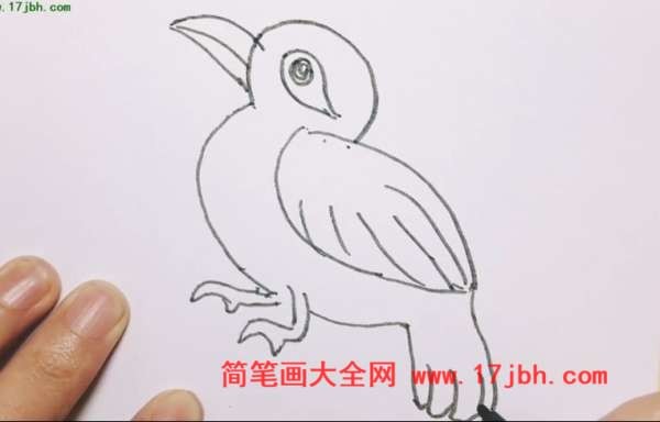 画眉鸟怎么画简笔画