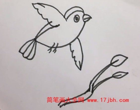 飞行的小鸟简笔画