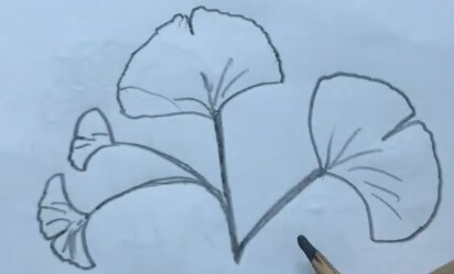 怎么画树叶的简笔画