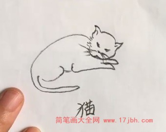 小猫睡觉图片简笔画