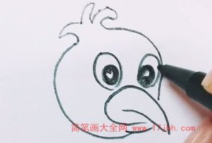 鸟怎么画简笔画图片