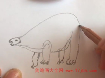 钉状龙简笔画