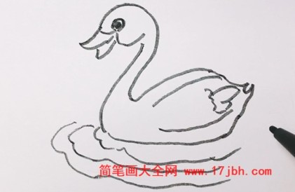 小天鹅的简笔画