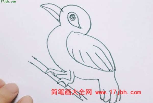 画眉鸟怎么画简笔画