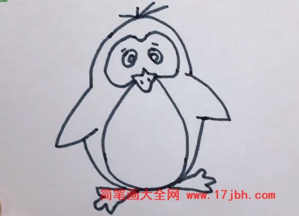 企鹅卡通图片简笔画