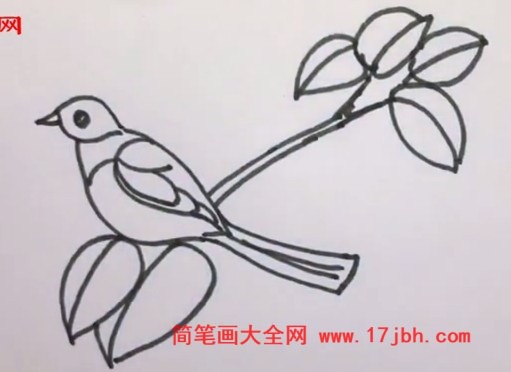 简笔画画小鸟