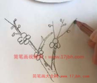 梅花树图片简笔画