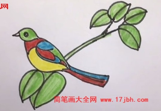 简笔画画小鸟