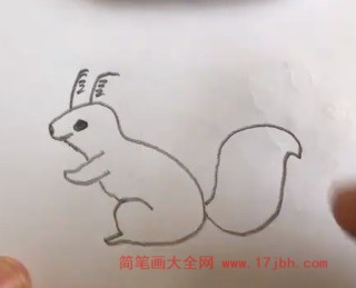 可爱小松鼠简笔画彩色