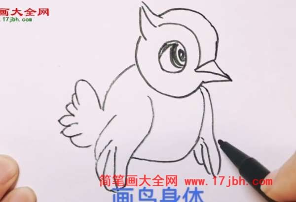 儿童简笔画画鸟