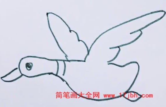 大雁的画法简笔画图片
