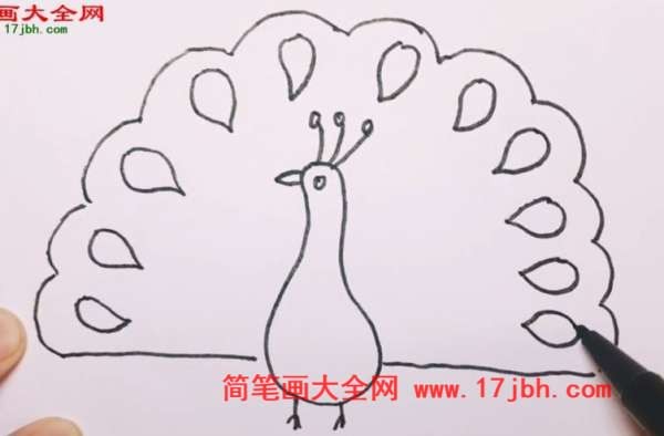 孔雀简笔画带颜色