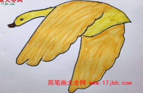 大雁简笔画彩色