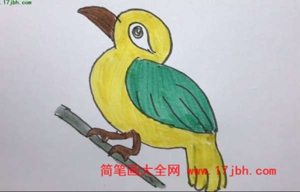 画眉鸟怎么画简笔画