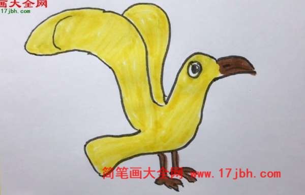 海鸥简笔画卡通