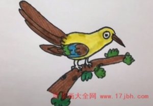 画鸟的简笔画图片大全