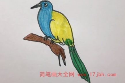 鸟儿简笔画图片大全集