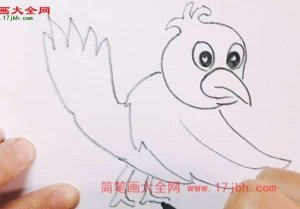 鸟怎么画简笔画图片