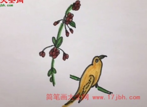 鸟简笔画图片大全