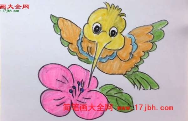 吸蜜蜂鸟简笔画