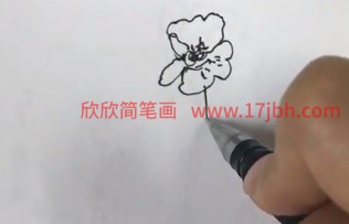 虞美人的简笔画