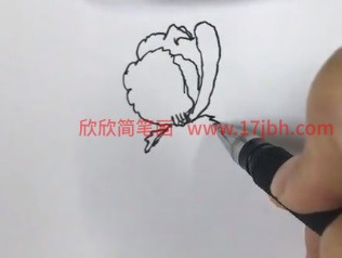 简笔画 虞美人