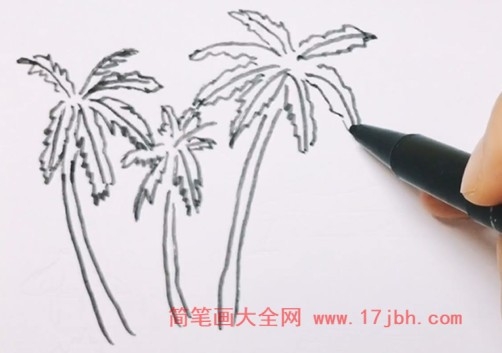椰子树的简笔画