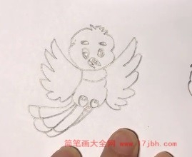 天上飞的鸟简笔画